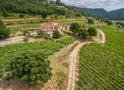 Vinedos Pazo Casanova - Spanien