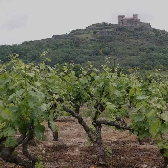 Bodega Fragas do Lecer Monterrei D.O.